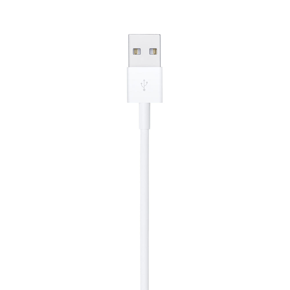 Iphone Lightning to Usb Cable
